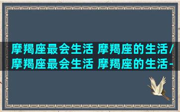 摩羯座最会生活 摩羯座的生活/摩羯座最会生活 摩羯座的生活-我的网站